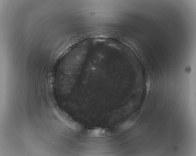 X0000111050366200907091639