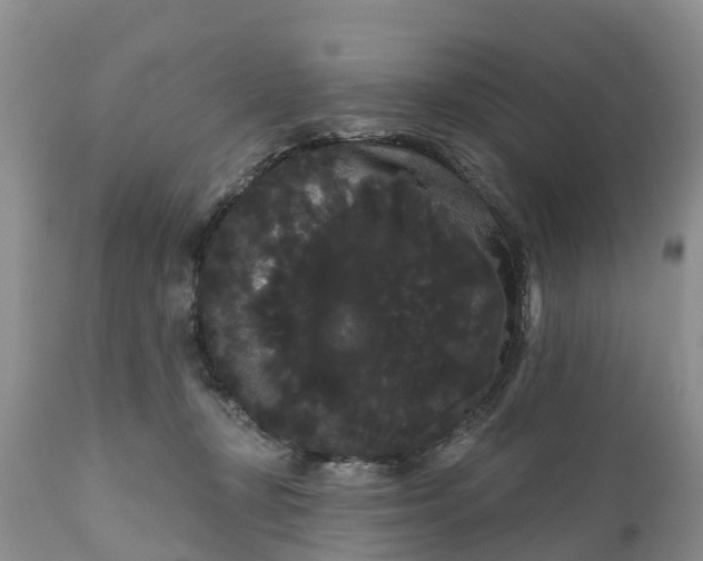 X0000111050367200907091639