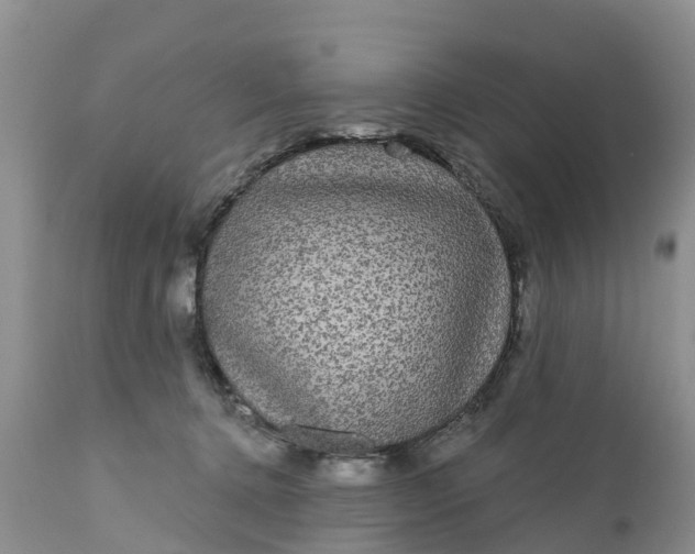 X0000111050368200907091639