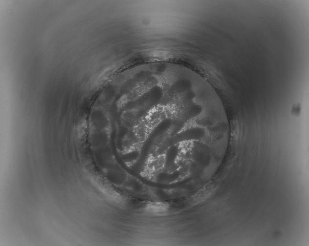 X0000111050369200907091639