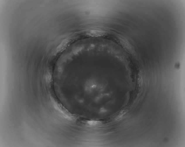 X0000111050371200907091639