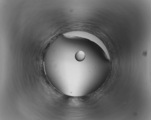 X0000111050372200907091639