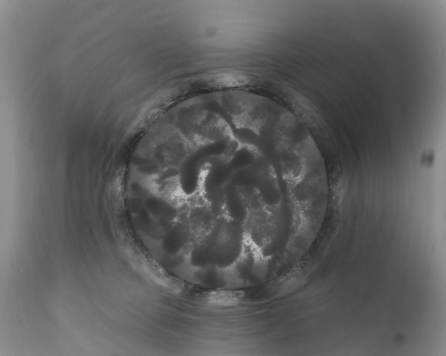 X0000111050373200907091639