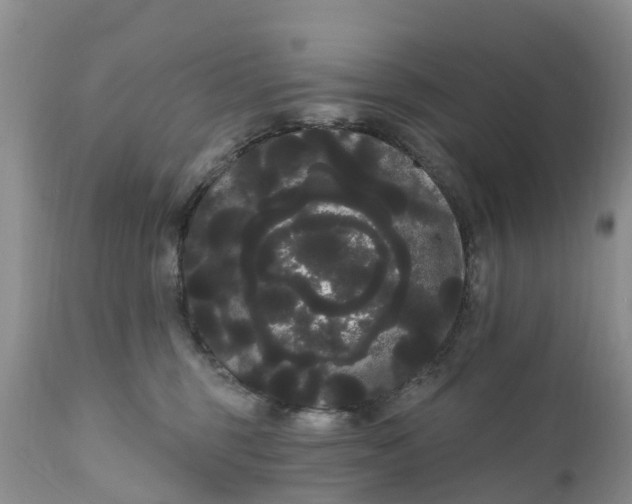 X0000111050375200907091639