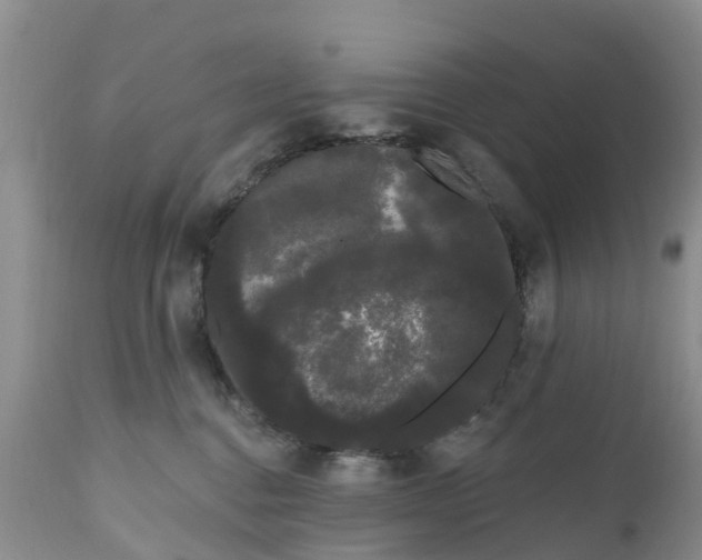 X0000111050376200907091639