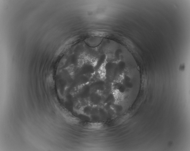 X0000111050377200907091639