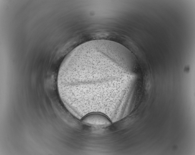 X0000111050378200907091639