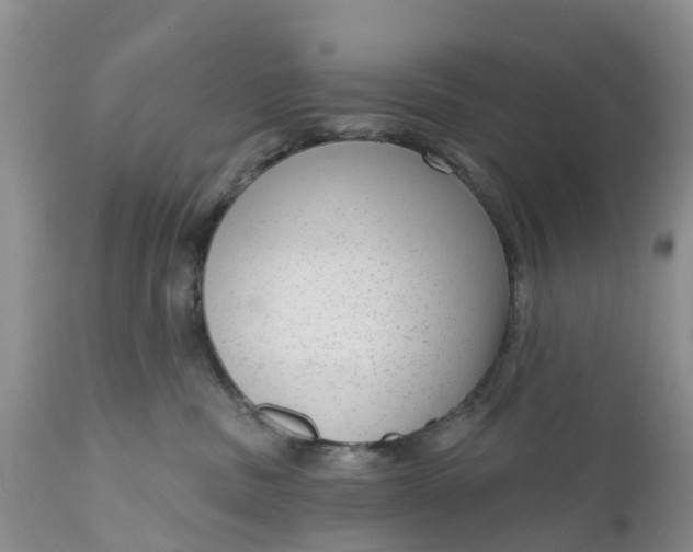 X0000111050379200907091639