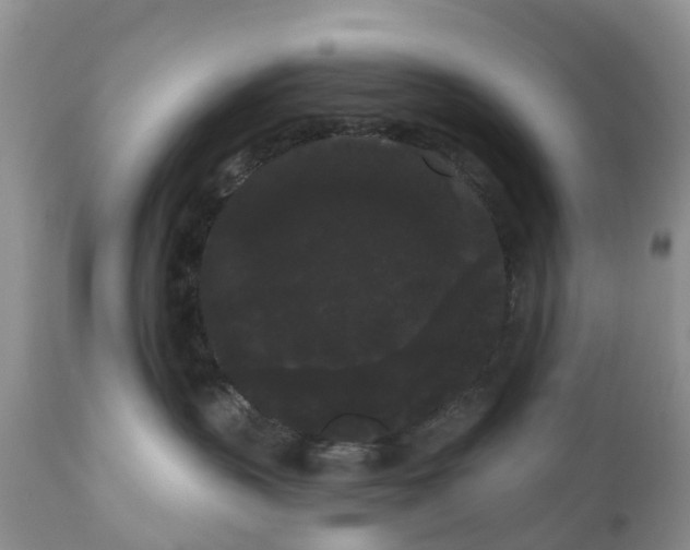 X0000111050383200907091639