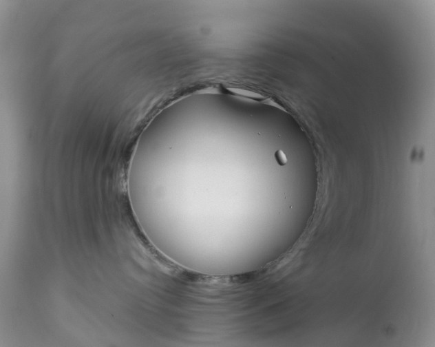 X0000111050384200907091639