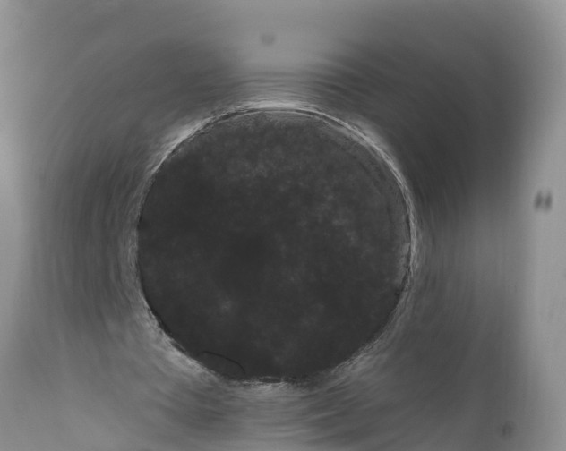 X0000111050385200907091639