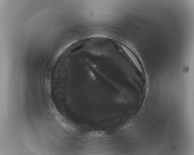 X0000111050386200907091638