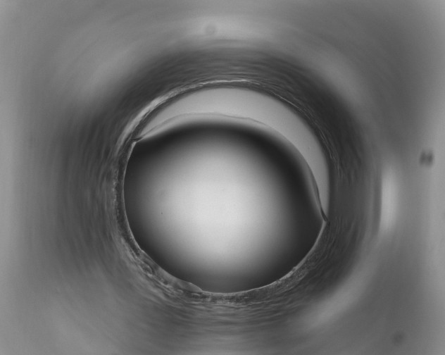 X0000111050387200907091638