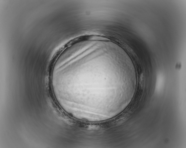 X0000111050388200907091638