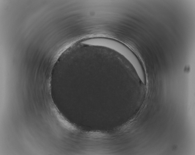 X0000111050389200907091638