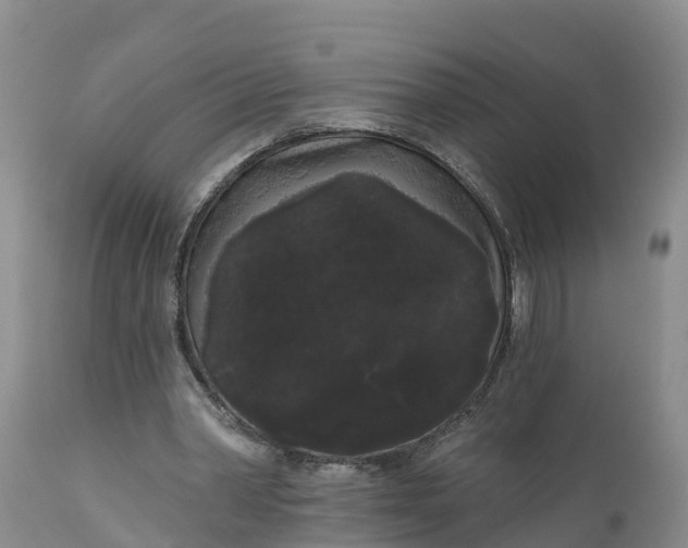 X0000111050390200907091638