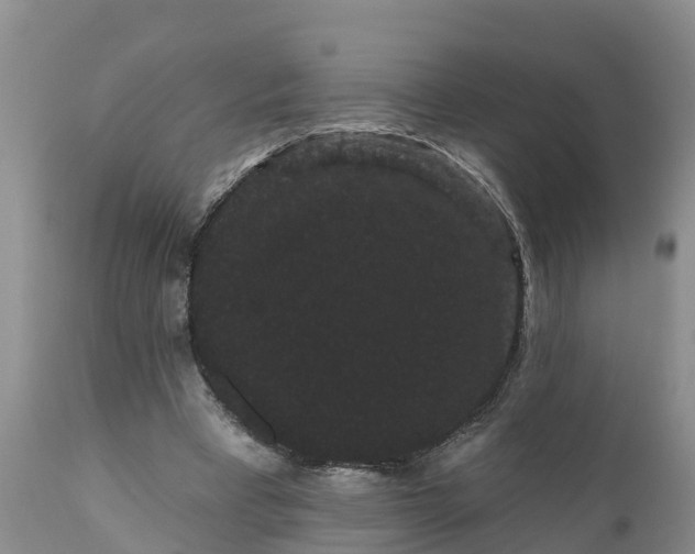 X0000111050393200907091638