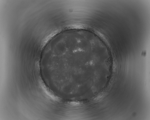 X0000111050394200907091638