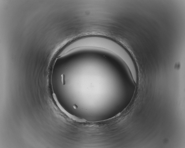 X0000111050395200907091638