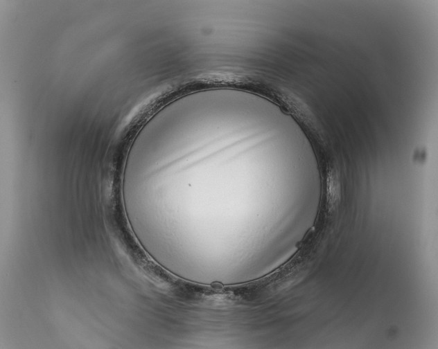 X0000111050396200907091638