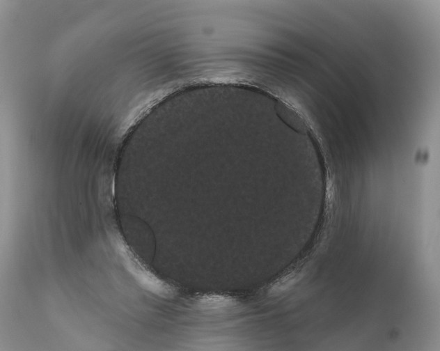 X0000111050397200907091638