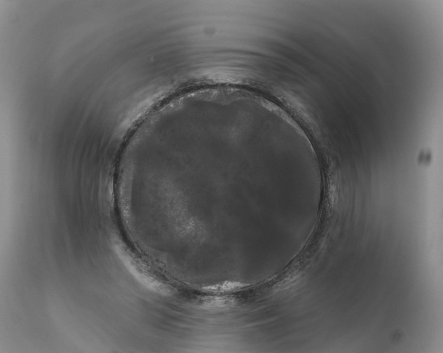 X0000111050398200907091638