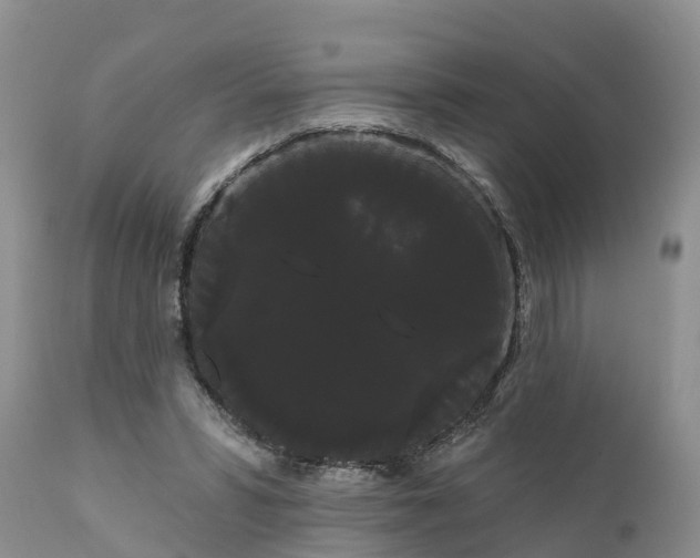 X0000111050399200907091638