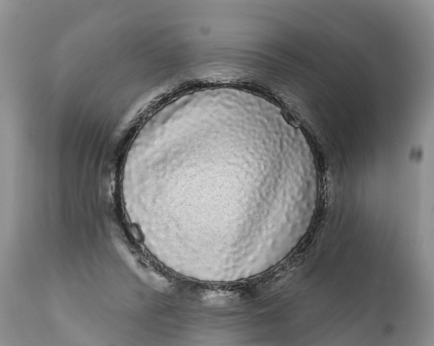 X0000111050400200907091638