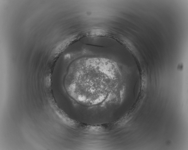 X0000111050401200907091638