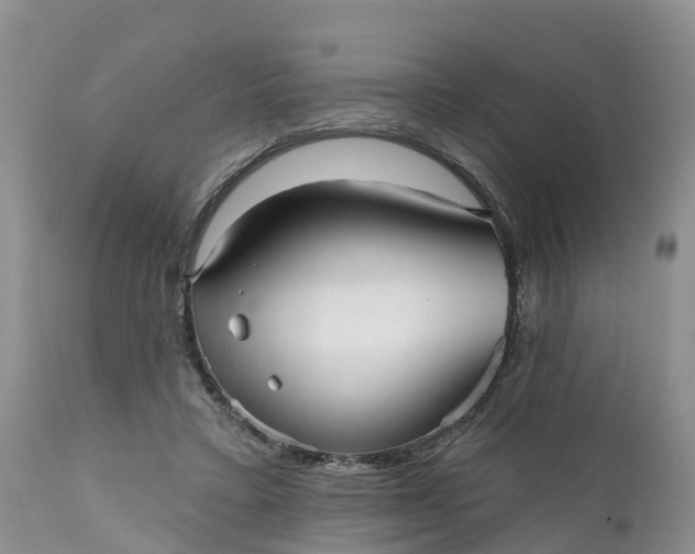 X0000111050403200907091638