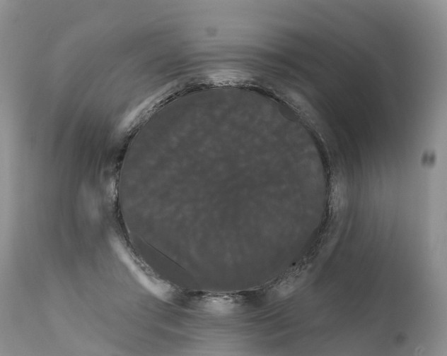 X0000111050405200907091638