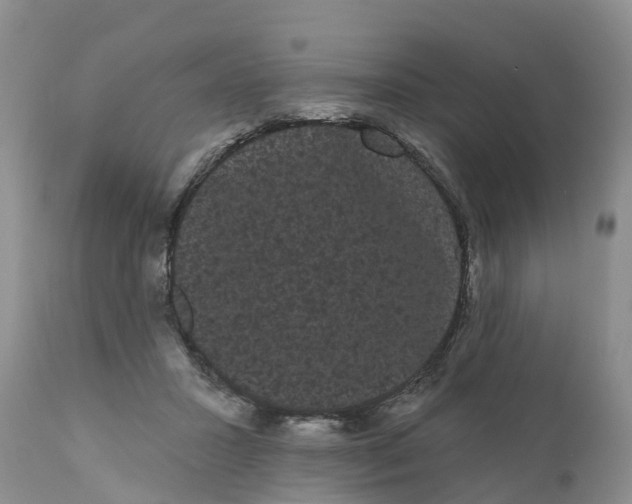 X0000111050407200907091638