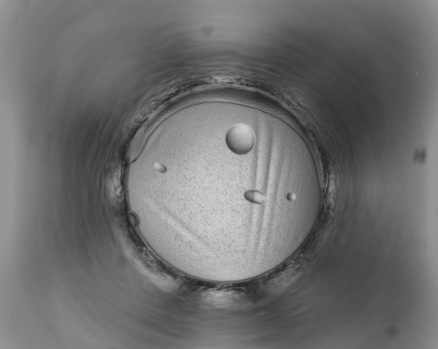 X0000111050408200907091638