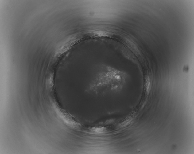 X0000111050410200907091638