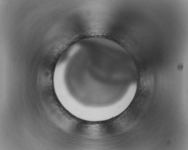 X0000111050411200907091638