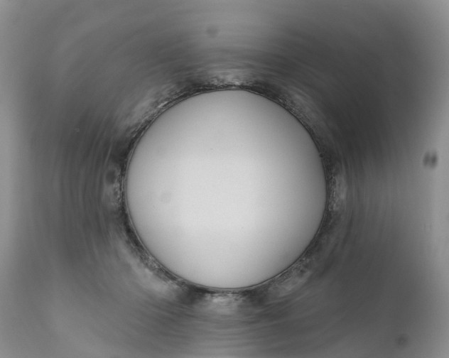 X0000111050414200907091638