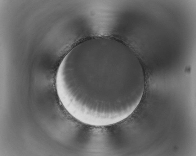 X0000111050415200907091638