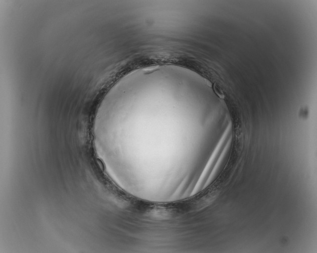 X0000111050416200907091638