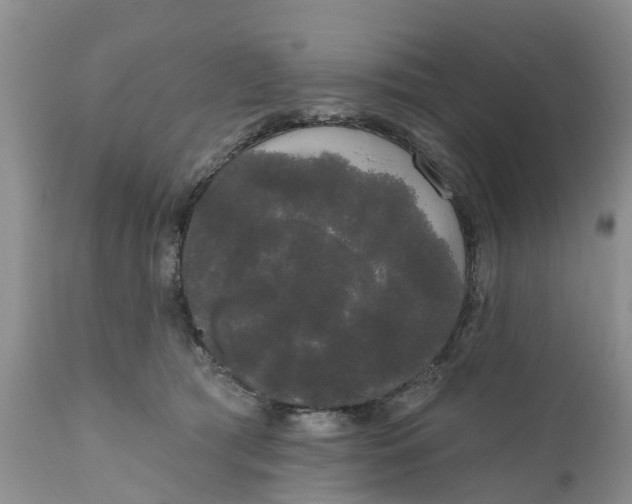 X0000111050417200907091638