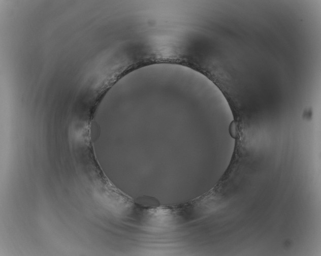 X0000111050419200907091638