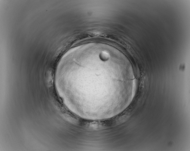 X0000111050420200907091638