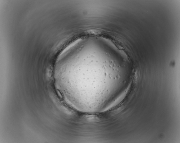 X0000111050424200907091638