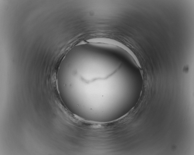 X0000111050425200907091638