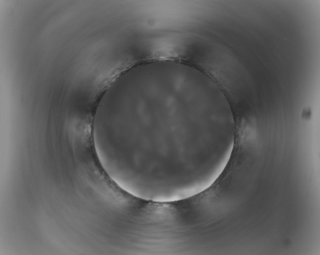 X0000111050427200907091638