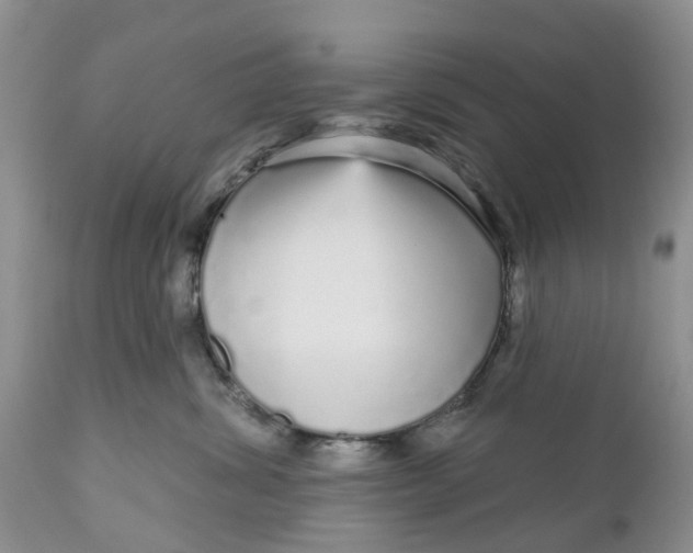 X0000111050428200907091638