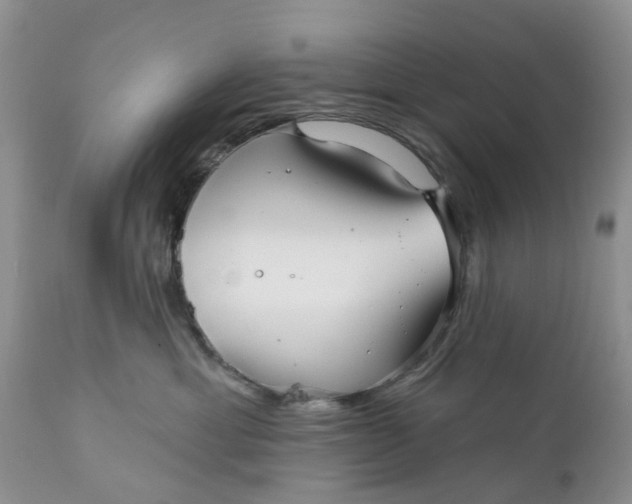 X0000111050429200907091638