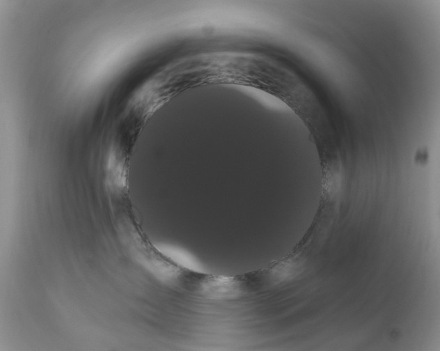 X0000111050431200907091638