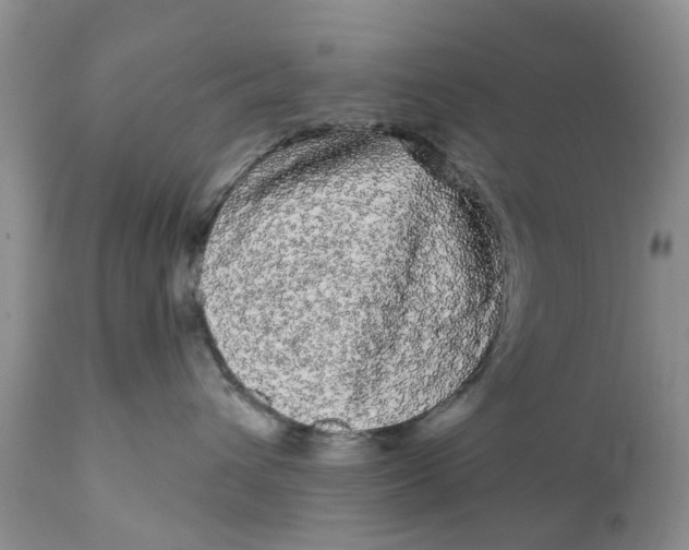 X0000111050432200907091638