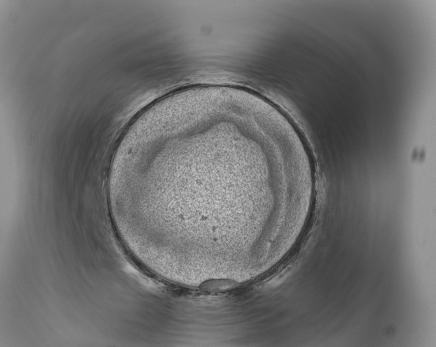 X0000111050433200907091637