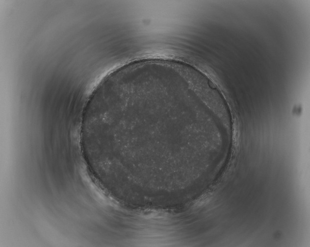 X0000111050434200907091637